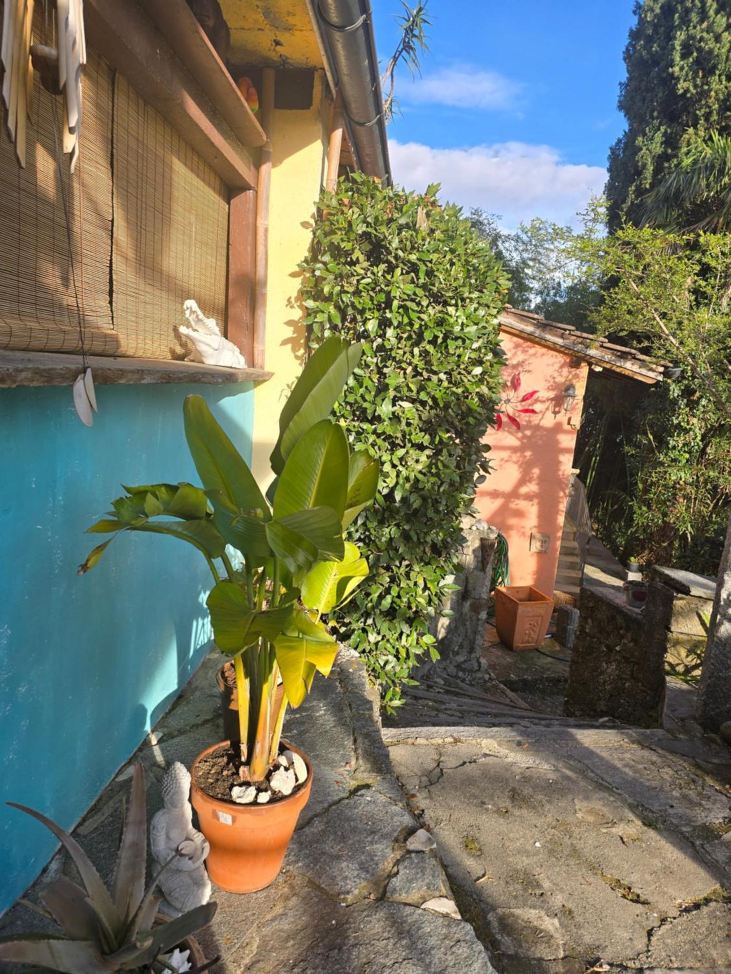 Pensione Olanda Locarno Buitenkant foto